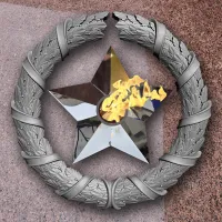 Венок вечный огонь чугун звезда нержавеющая сталь в Выксе (518577)